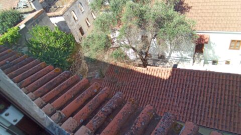 Residencia Universitaria A1