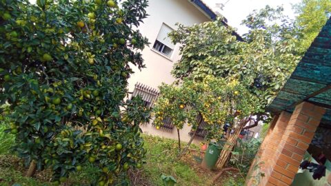 Residencia Universitaria F1