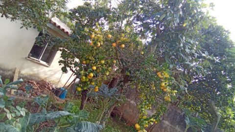 Residencia Universitaria F1